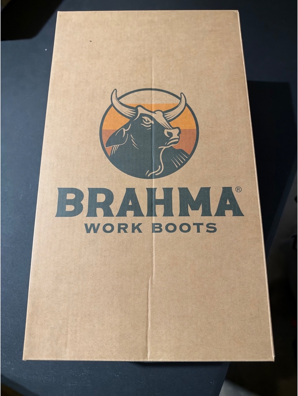 Brahma work boots